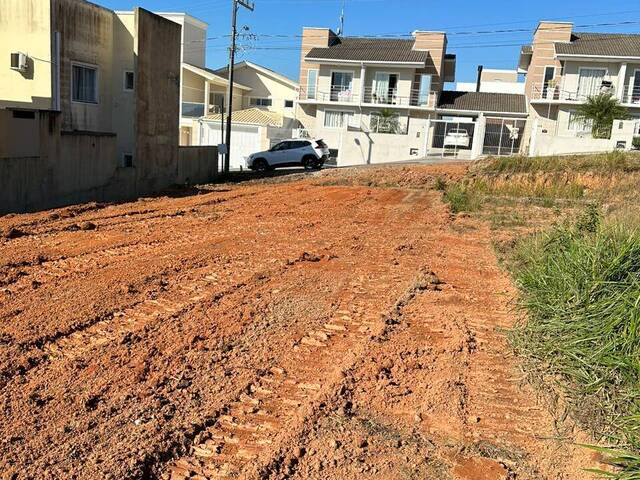 Terreno para Venda em São José - 4