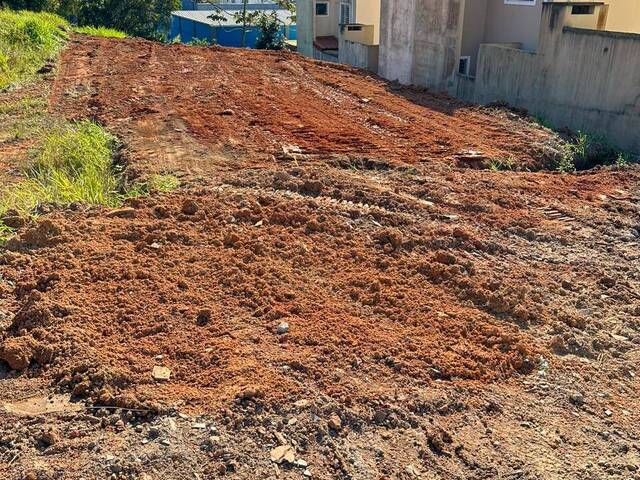 Terreno para Venda em São José - 5