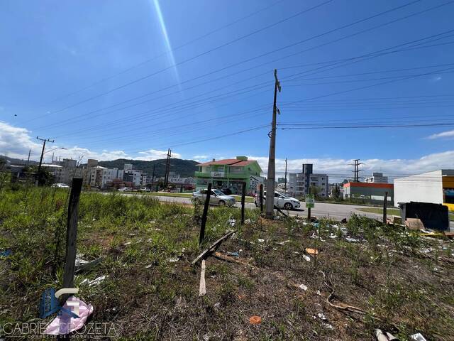 Terreno para Venda em Palhoça - 4